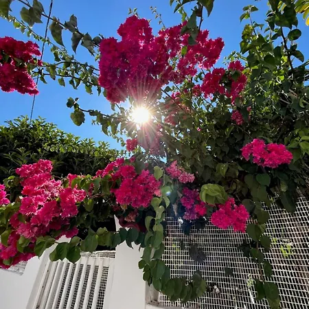 Lägenhet το παραδοσιακό Elafonissos